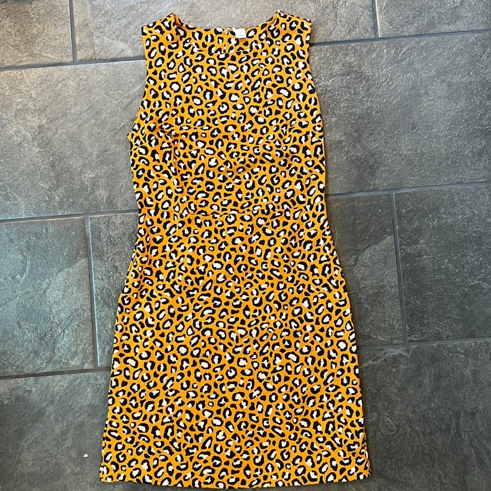 Fitted Sleeveless Dress